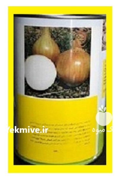فروش بذر پیاز زانزا چلسی در بومهن در گروه خرید و فروش بذر پیاز در یکمیوه -عکس1