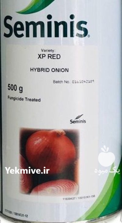بذر پیاز قرمز ایکس پی رد در چلگرد در گروه خرید و فروش بذر پیاز در یکمیوه -عکس1