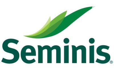 بذر پیاز 2657 کمپانی سمینیس در بافق در گروه خرید و فروش بذر پیاز در یکمیوه -عکس1