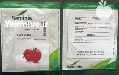 بذر گوجه بدرو در شیراز در گروه خرید و فروش بذر گوجه در یکمیوه -عکس1