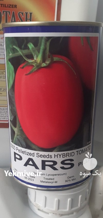 بذر گوجه پارس در اهواز در گروه خرید و فروش بذر گوجه در یکمیوه -عکس1