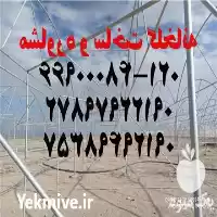 ساخت گلخانه داربستی در گروه سازنده در یکمیوه