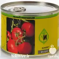 فروش بذر گوجه فرنگی کارون در بوشهر در گروه خرید و فروش بذر گوجه در یکمیوه