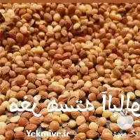 قیمت خرید عمده خرده مغز هسته در یزد در گروه خرید و فروش آلبالو در یکمیوه