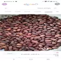 قیمت خرید دانه روغنی جوجوبا در تهران در گروه خرید و فروش دانه های روغنی در یکمیوه