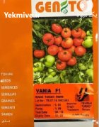 بذر گوجه فرنگی وانیا در چهارباغ در گروه خرید و فروش بذر گوجه در یکمیوه