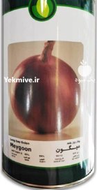 بذر پیاز میگون در گروه خرید و فروش بذر پیاز در یکمیوه