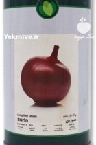 بذر پیاز قرمز سورین فلات در گروه خرید و فروش بذر پیاز در یکمیوه