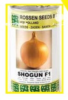 فروش بذر پیاز شوگان فلات در گروه خرید و فروش بذر پیاز در یکمیوه