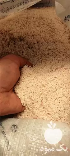 فروش برنج طارم در گروه خرید و فروش برنج در یکمیوه -عکس1