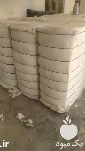 قیمت خرید پنبه خام افغانستان در اصفهان در گروه خرید و فروش گیاهان صنعتی در یکمیوه -عکس1