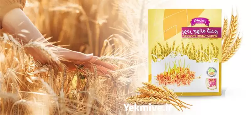 قیمت خرید پودر جوانه گندم در کرج در گروه خرید و فروش گندم و جو در یکمیوه -عکس1