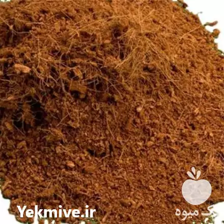 قیمت خرید تکنو پیت در تهران در گروه خرید و فروش گیاهان زینتی در یکمیوه -عکس1