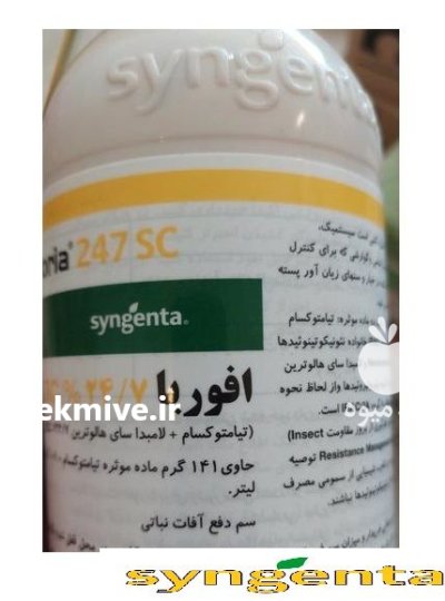 سم حشره کش افوریا در بن  در گروه خرید و فروش انواع سم در یکمیوه -عکس1