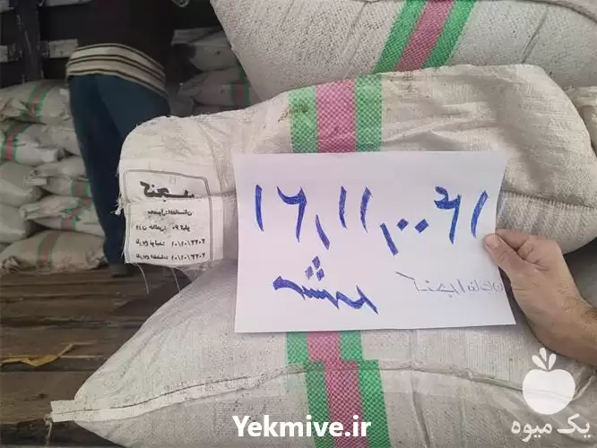 قیمت خرید کنجد افعانستان در مشهد در گروه خرید و فروش دانه های روغنی در یکمیوه -عکس1