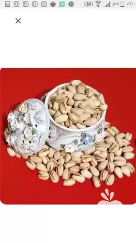 قیمت خرید پسته فندوقی پسته اکبری در بیرجند در گروه خرید و فروش پسته در یکمیوه -عکس1