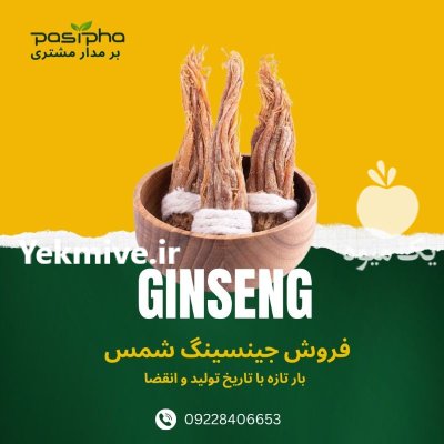 فروش جینسینگ قرمز تازه در ری  در گروه خرید و فروش ادویه در یکمیوه -عکس1