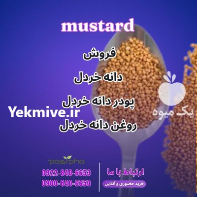 فروش خردل روغن خردل پودر خردل در گروه خرید و فروش ادویه در یکمیوه -عکس1