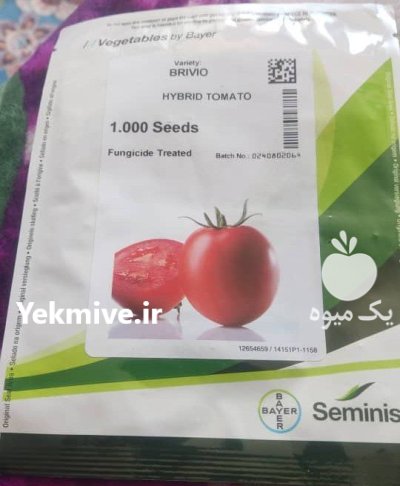 بذر گوجه بریویو در اهواز در گروه خرید و فروش بذر گوجه در یکمیوه -عکس1