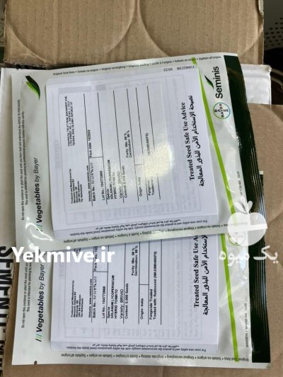 بذر گوجه بریویو در اهواز در گروه خرید و فروش بذر گوجه در یکمیوه -عکس2