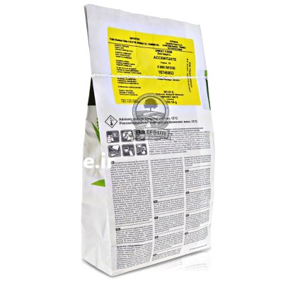 بذر ذرت اکسن چوییت در شیراز در گروه خرید و فروش بذر ذرت در یکمیوه -عکس2