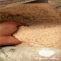 فروش برنج طارم در گروه خرید و فروش برنج در یکمیوه