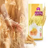 قیمت خرید پودر جوانه گندم در کرج در گروه خرید و فروش گندم و جو در یکمیوه