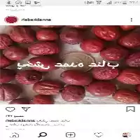 فروش عمده عناب جگری رنگ توپر در بیرجند در گروه خرید و فروش گیاهان دارویی در یکمیوه