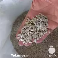 فروش مغز تخمه آفتابگردان در شیراز در گروه خرید و فروش انواع تخمه در یکمیوه