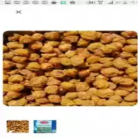 فروش آلو بخارا اصل و ممتاز در بیرجند در گروه خرید و فروش آلو در یکمیوه