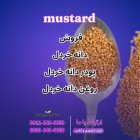 فروش خردل روغن خردل پودر خردل در گروه خرید و فروش ادویه در یکمیوه
