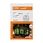 بذر فلفل دلمه فلاویو در شیراز در گروه خرید و فروش بذر فلفل در یکمیوه