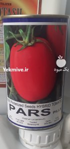 بذر گوجه پارس در شیراز در گروه خرید و فروش بذر گوجه در یکمیوه