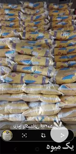 قیمت خرید بهترین برنج ایرانی پاکستانی در تهران در گروه خرید و فروش برنج در یکمیوه -عکس1