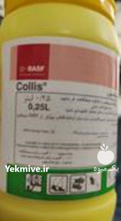 سم قارچ کس کولیس در بادرود در گروه خرید و فروش انواع سم در یکمیوه -عکس1