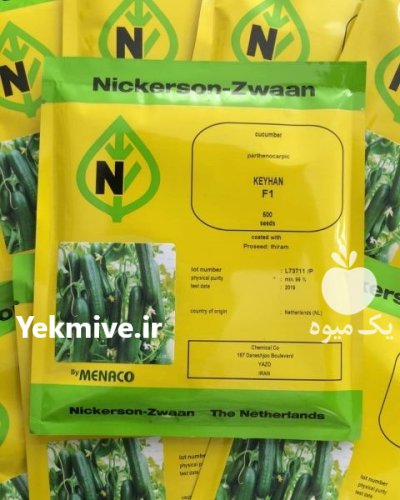 عرضه فروش بذر خیار گلخانه ای در بوشهر در گروه خرید و فروش بذر خیار در یکمیوه -عکس2