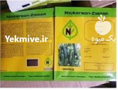 بذر خیار گلخانه ای کیهان فروش در بردخون در گروه خرید و فروش بذر خیار در یکمیوه -عکس1
