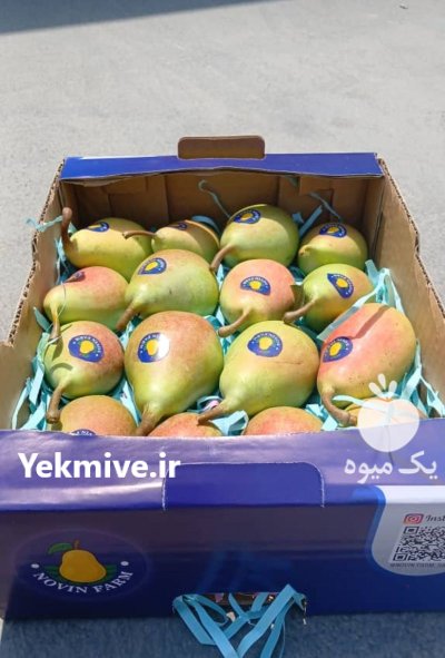 گلابی بیروتی در کیاسر در گروه خرید و فروش گلابی در یکمیوه -عکس2