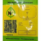 فروش بذر خیار گلخانه ای کیهان در بندرکنگان در گروه خرید و فروش بذر خیار در یکمیوه