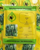 عرضه فروش بذر خیار گلخانه ای در بوشهر در گروه خرید و فروش بذر خیار در یکمیوه