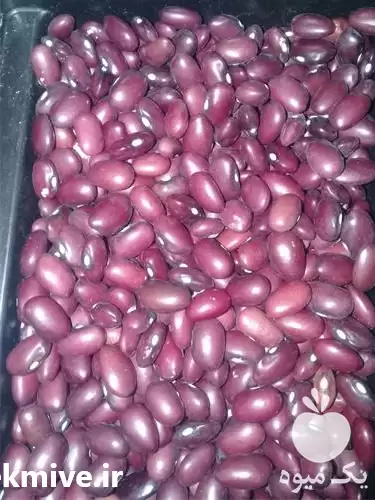 فروش عمده حبوبات در قزوین در گروه خرید و فروش غلات و حبوبات در یکمیوه -عکس1