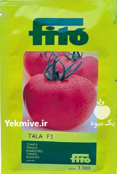 بذر گوجه بذر گوجه طلا در بندرعباس در گروه خرید و فروش بذر گوجه در یکمیوه -عکس1