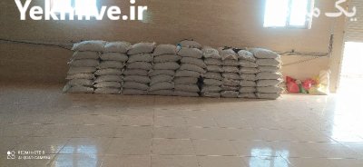 بذر جو و گندم در قروه در گروه خرید و فروش بذر جو در یکمیوه -عکس1