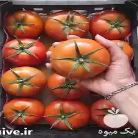 گوجه صادراتی گوجه 8320 گوجه 4129 در اصفهان در گروه خرید و فروش گوجه فرنگی در یکمیوه