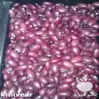 فروش عمده حبوبات در قزوین در گروه خرید و فروش غلات و حبوبات در یکمیوه