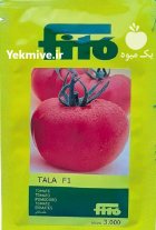 بذر گوجه بذر گوجه طلا در بندرعباس در گروه خرید و فروش بذر گوجه در یکمیوه