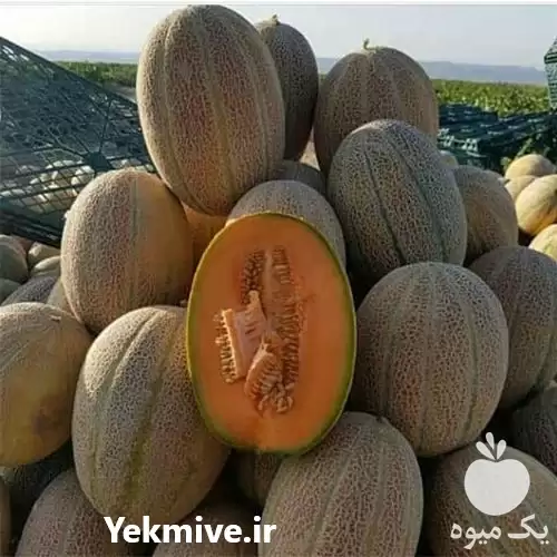 بار بارکن فروش عمده محصولات کشاوری در اهواز در گروه بار بارکن محصولات کشاورزی در یکمیوه -عکس1