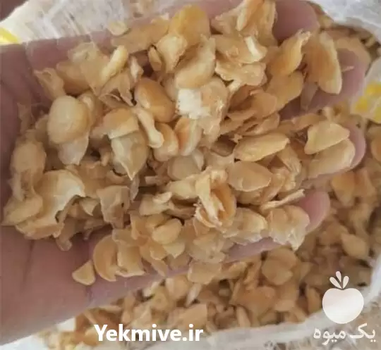 فروش موسیر درجه یک خشک در گروه خرید و فروش میوه خشک در یکمیوه -عکس1