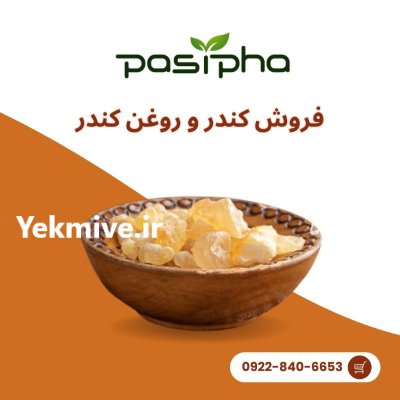 فروش کندر تمیز فروش روغن کندر در گروه خرید و فروش ادویه در یکمیوه -عکس1