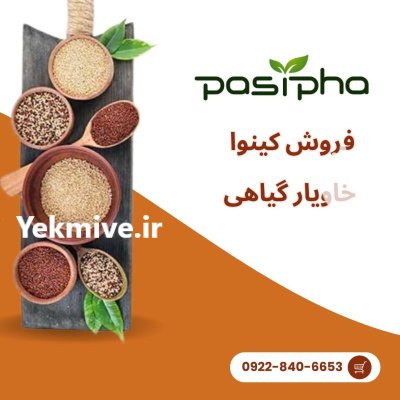 فروش کینوا سورت شده و تمیز در گروه خرید و فروش ادویه در یکمیوه -عکس1